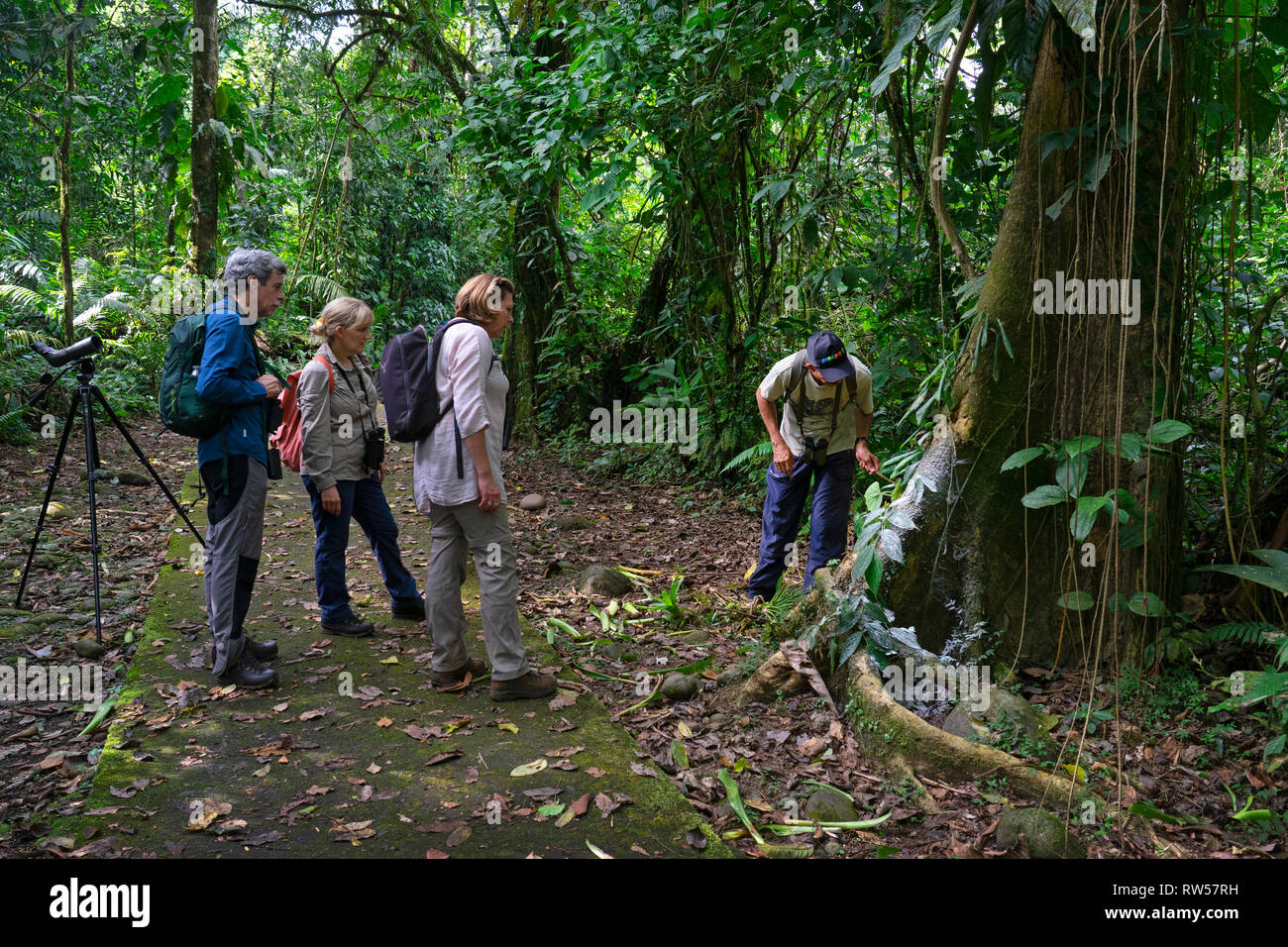 Tourists with guide at La Seva Biological Station,Tropical rain Forest,Sarapiqui,Costa Rica,Central America Stock Photo