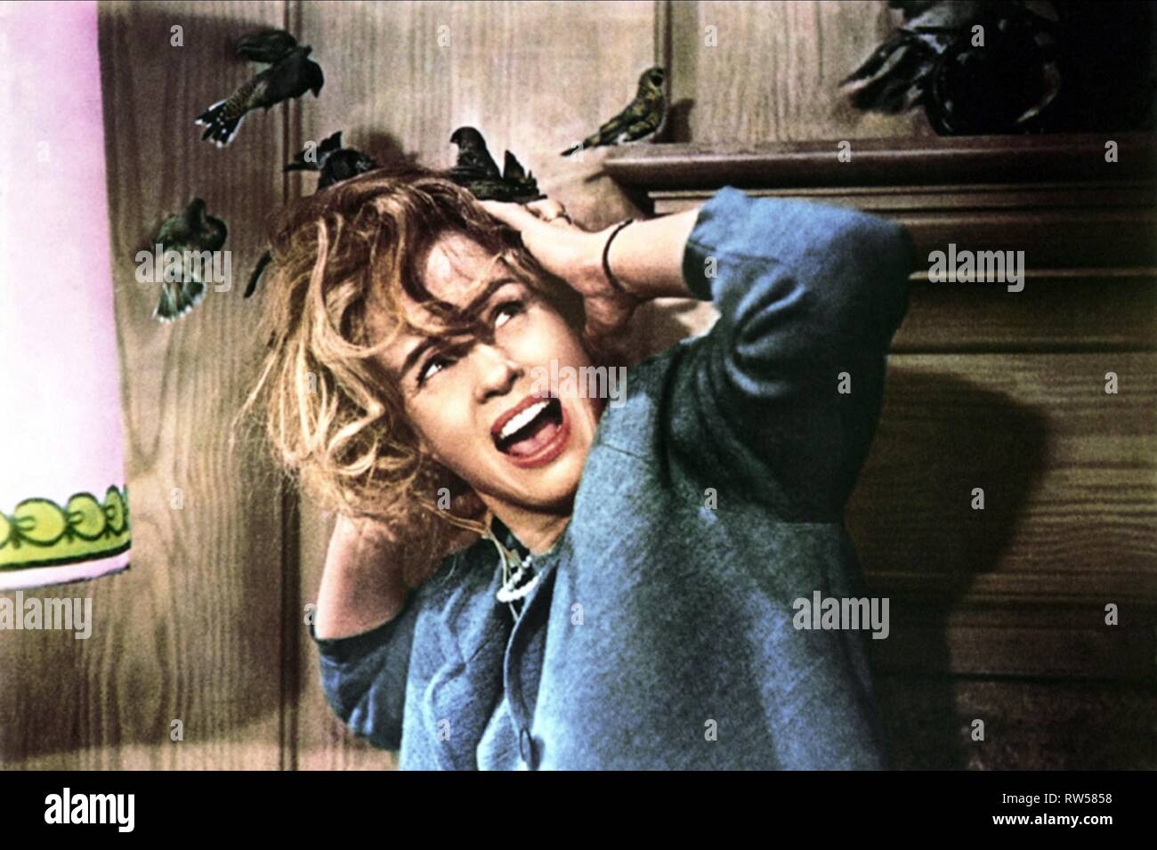 TIPPI HEDREN, THE BIRDS, 1963 Stock Photo