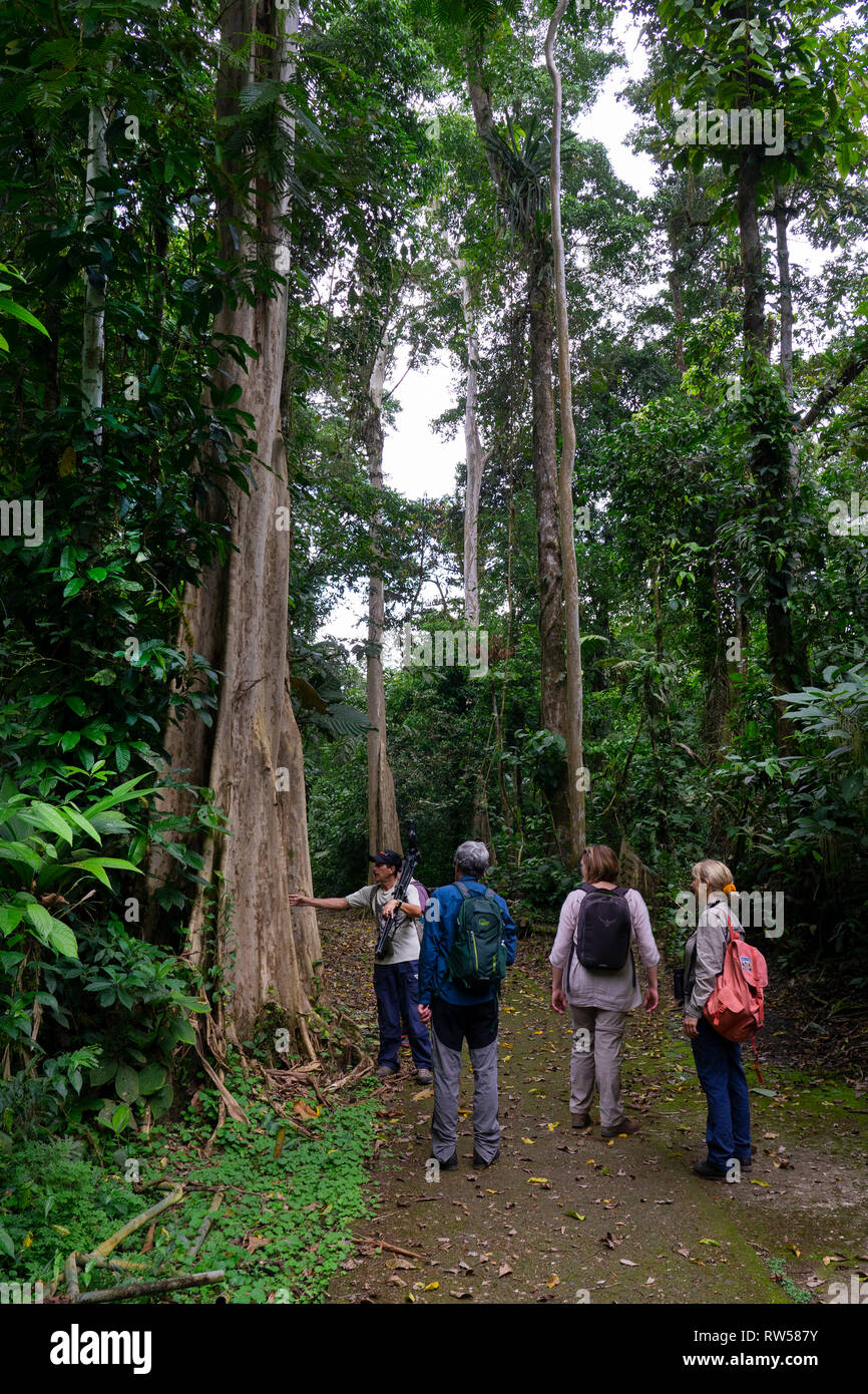 Tourists with guide at La Seva Biological Station,Tropical rain Forest,Sarapiqui,Costa Rica,Central America Stock Photo