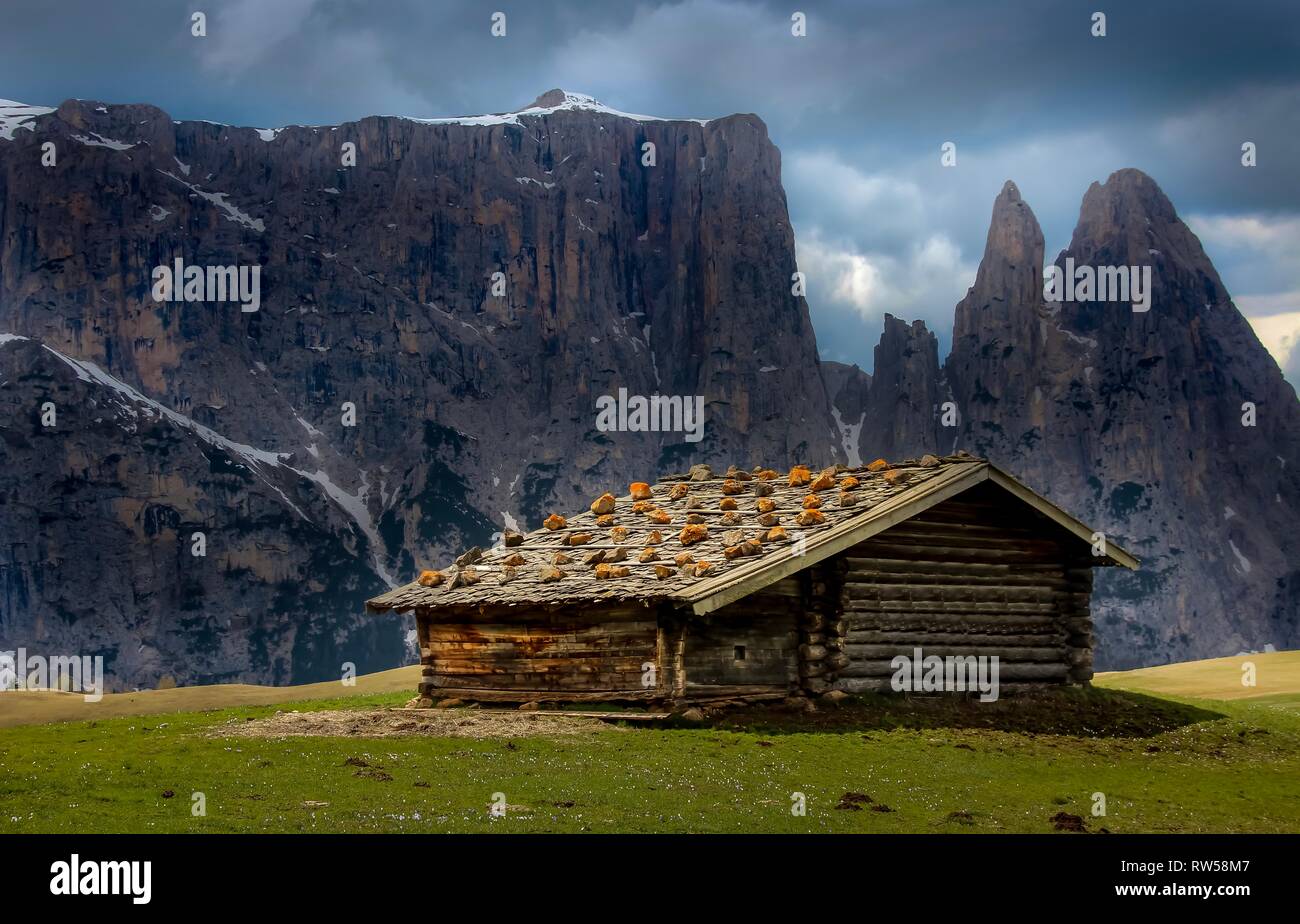 wooden alp hut with mountain background, seiser alm south tyrol Stock Photo