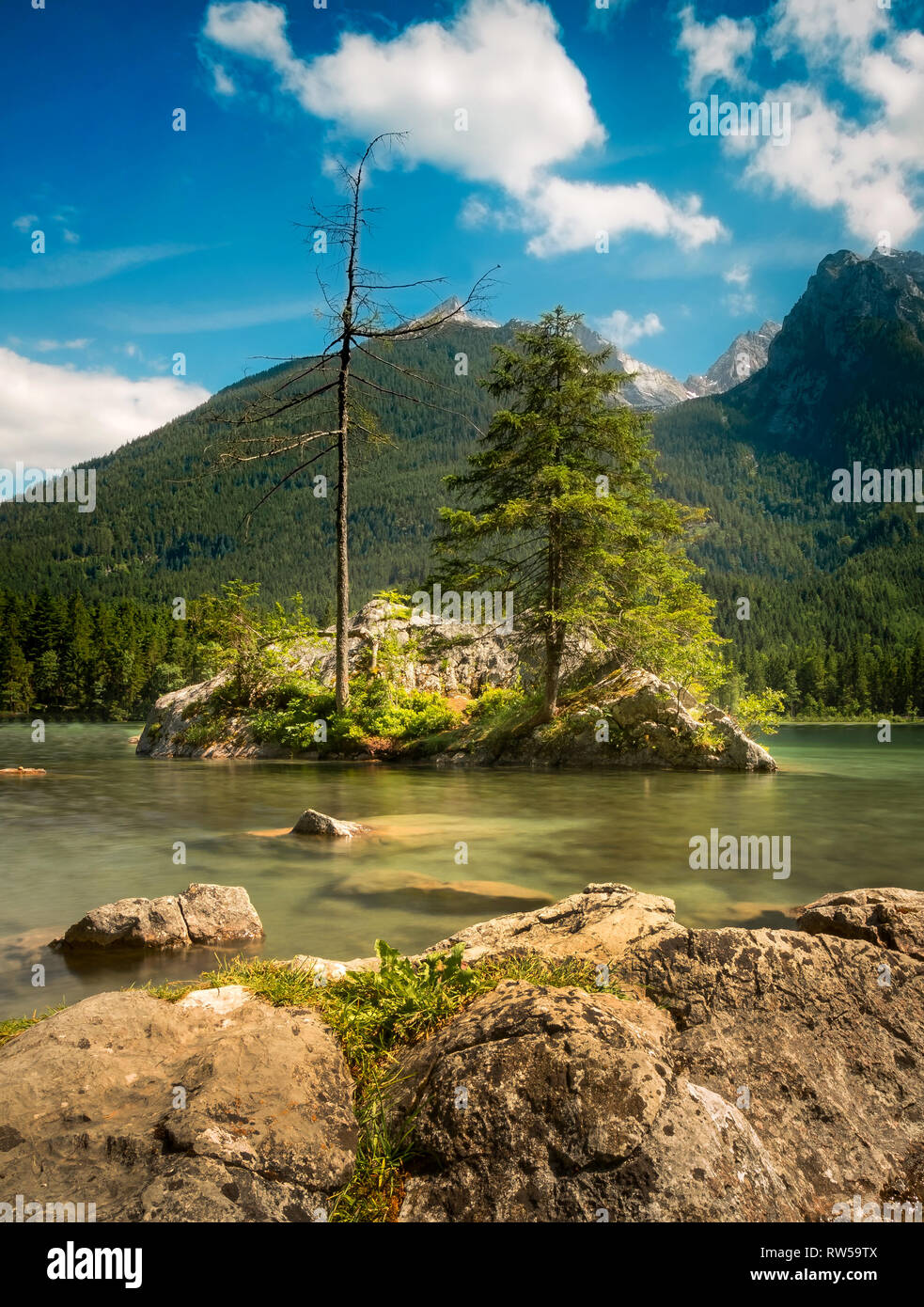 relaxing at mystic mountain lake with trees on rocks inside green water. Hintersee, Ramsau Berchtesgaden Bavaria Germany Stock Photo