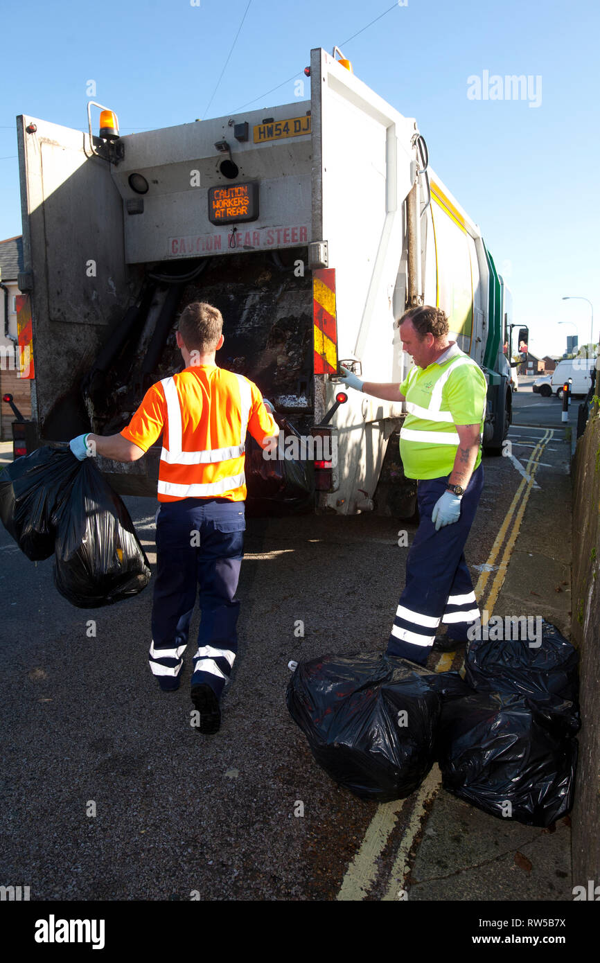 waste, rubbish, recycle, garbage, plant, collection, green, bin, wood