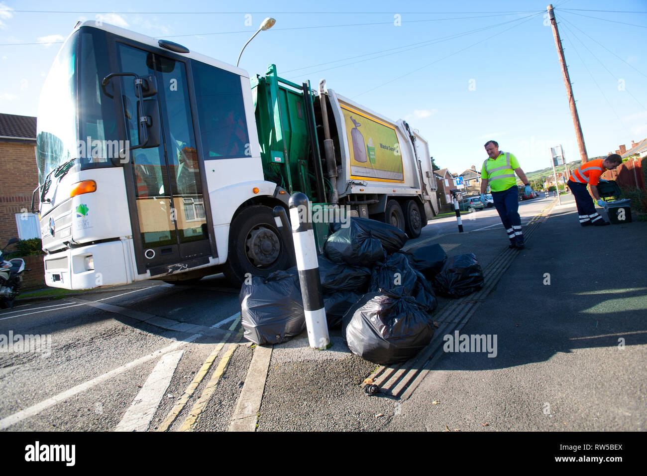 waste, rubbish, recycle, garbage, plant, collection, green, bin, wood