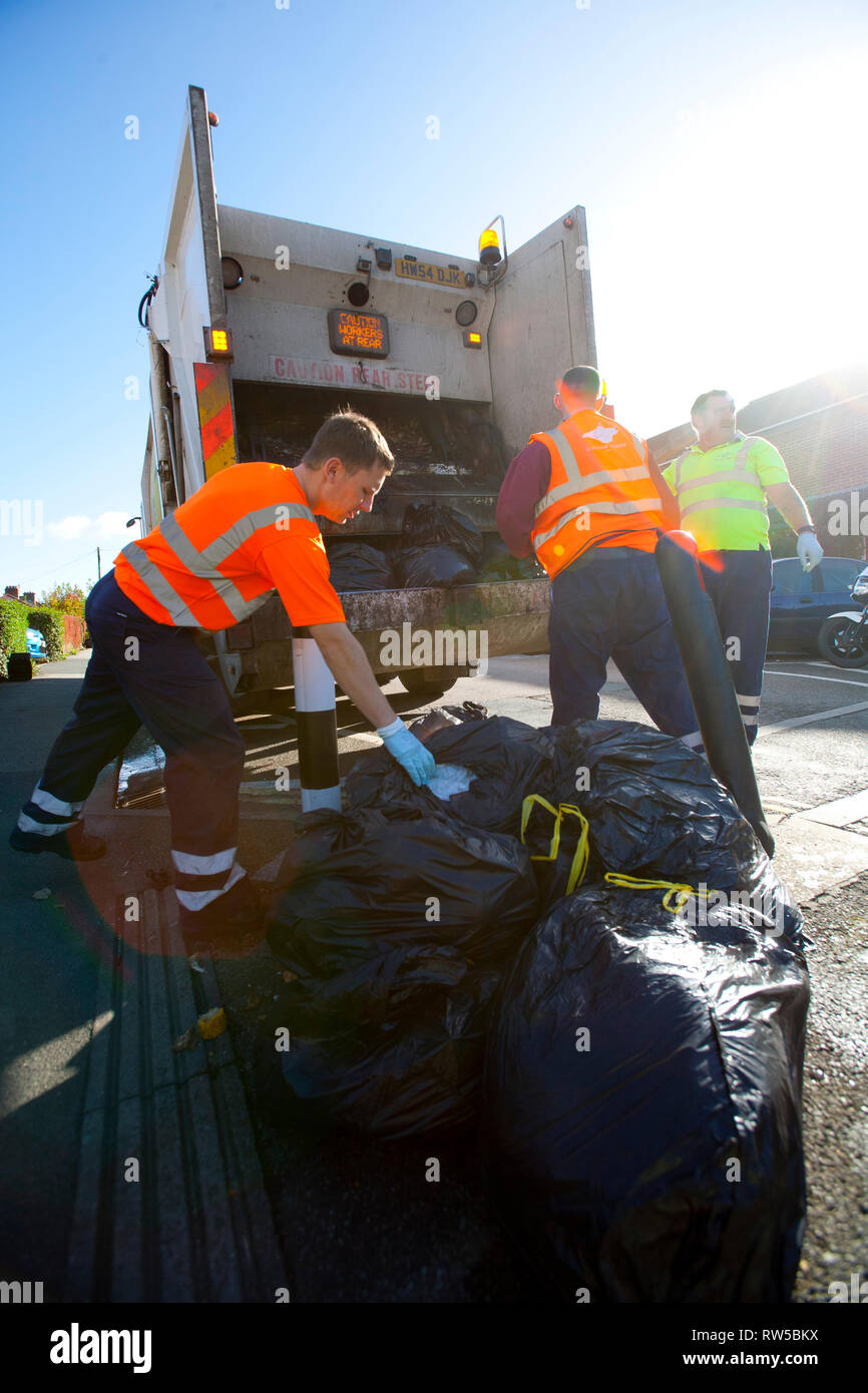 waste, rubbish, recycle, garbage, plant, collection, green, bin, wood, metal, plastic, cardboard