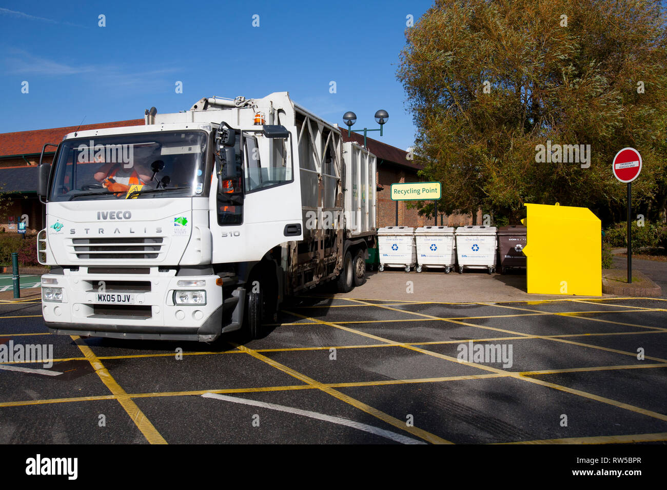 waste, rubbish, recycle, garbage, plant, collection, green, bin, wood