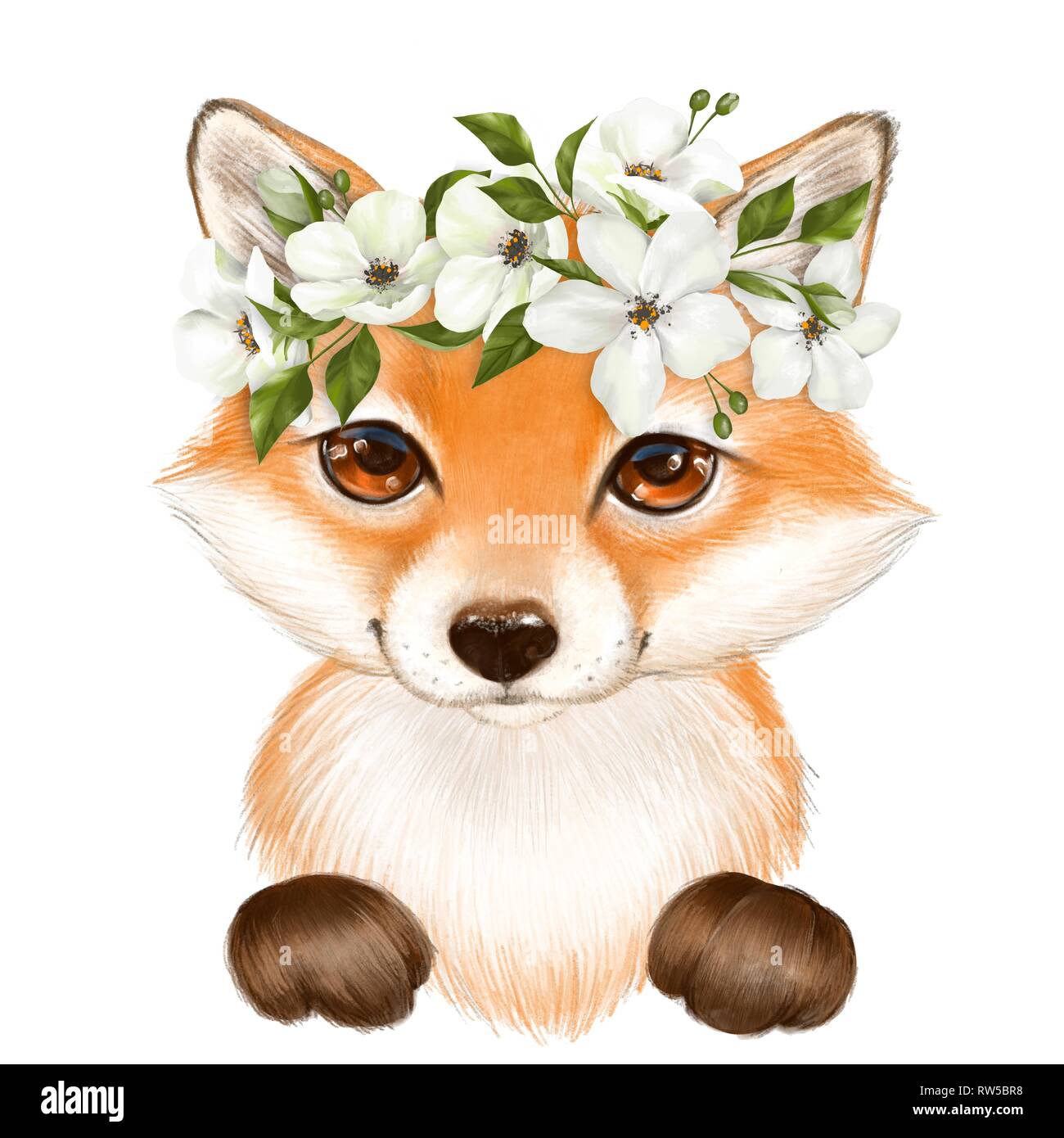 Cute cartoon fox with whithe flowers isolated on white background Stock Photo