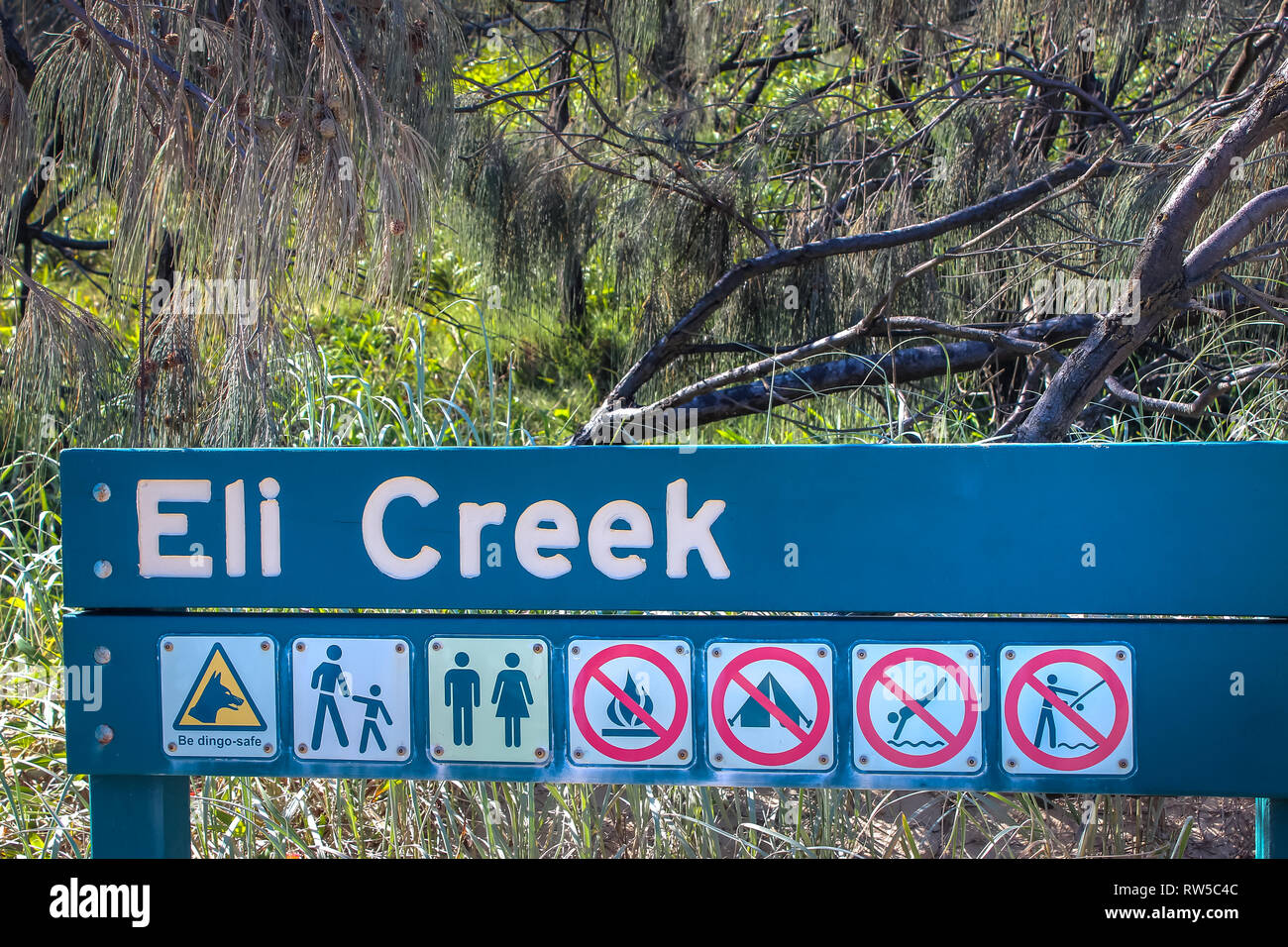 eli creek warning sign on Fraser island, be dingo safe, travel adventure backpacker travel Australia Stock Photo
