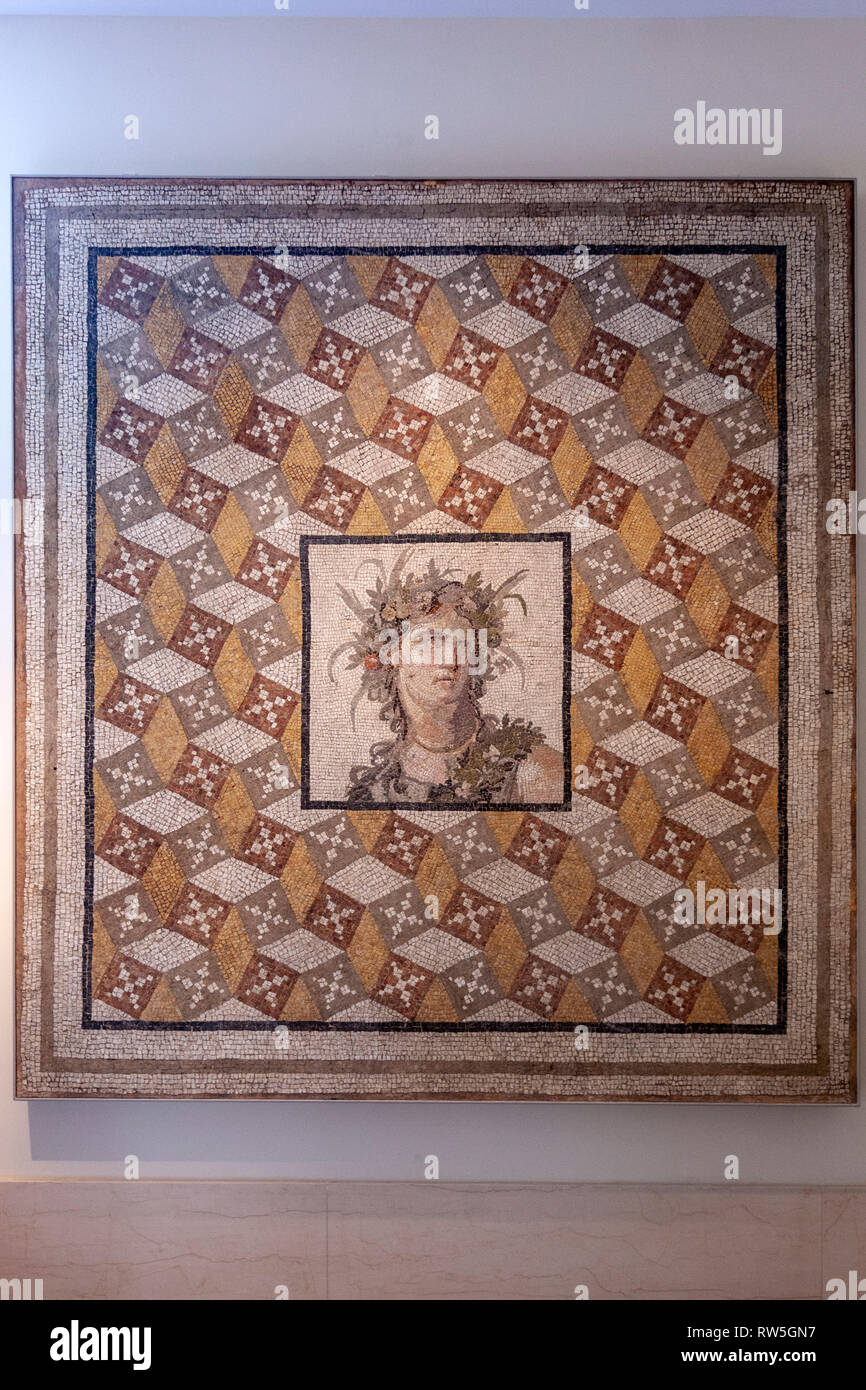 Mosaic floor panel, Roman period, Imperial, The Metropolitan Museum of Art, Manhattan, New York USA Stock Photo