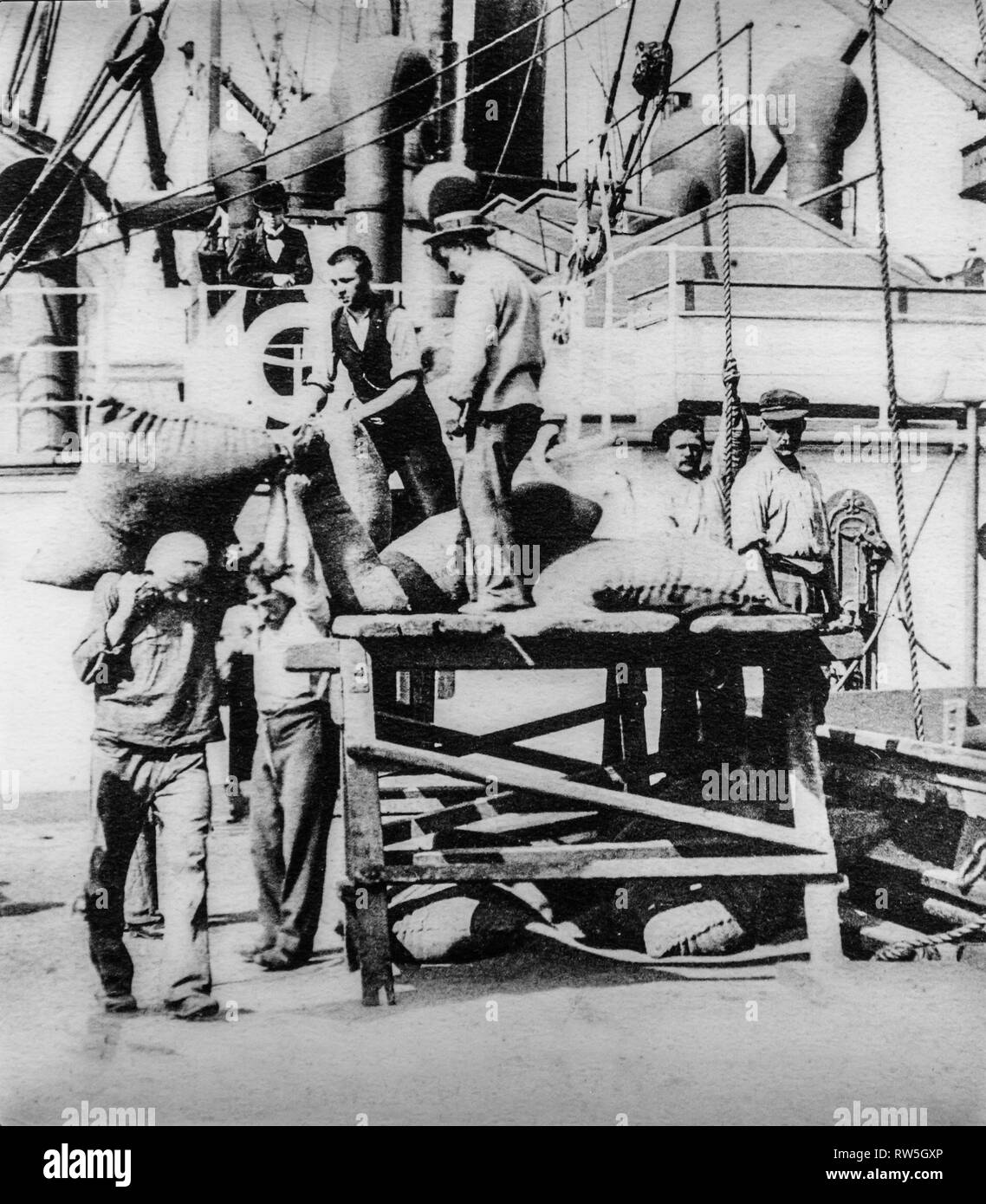 Old early 1900s photo of stevedores / dockers / longshoremen / dockworkers unloading steamship in the port of Antwerp, Flanders, Belgium Stock Photo
