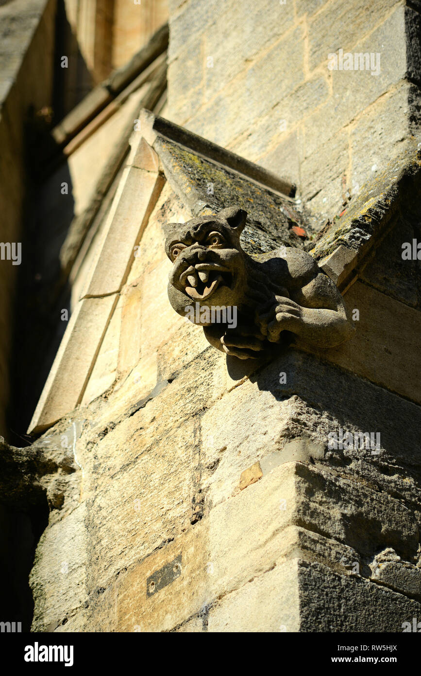 Gargoyle, Ely Cathedral Stock Photo Alamy