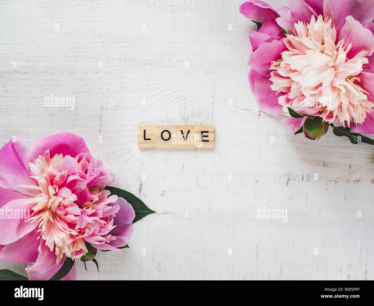in the letters the Colorful of and peonies wooden ... alphabet