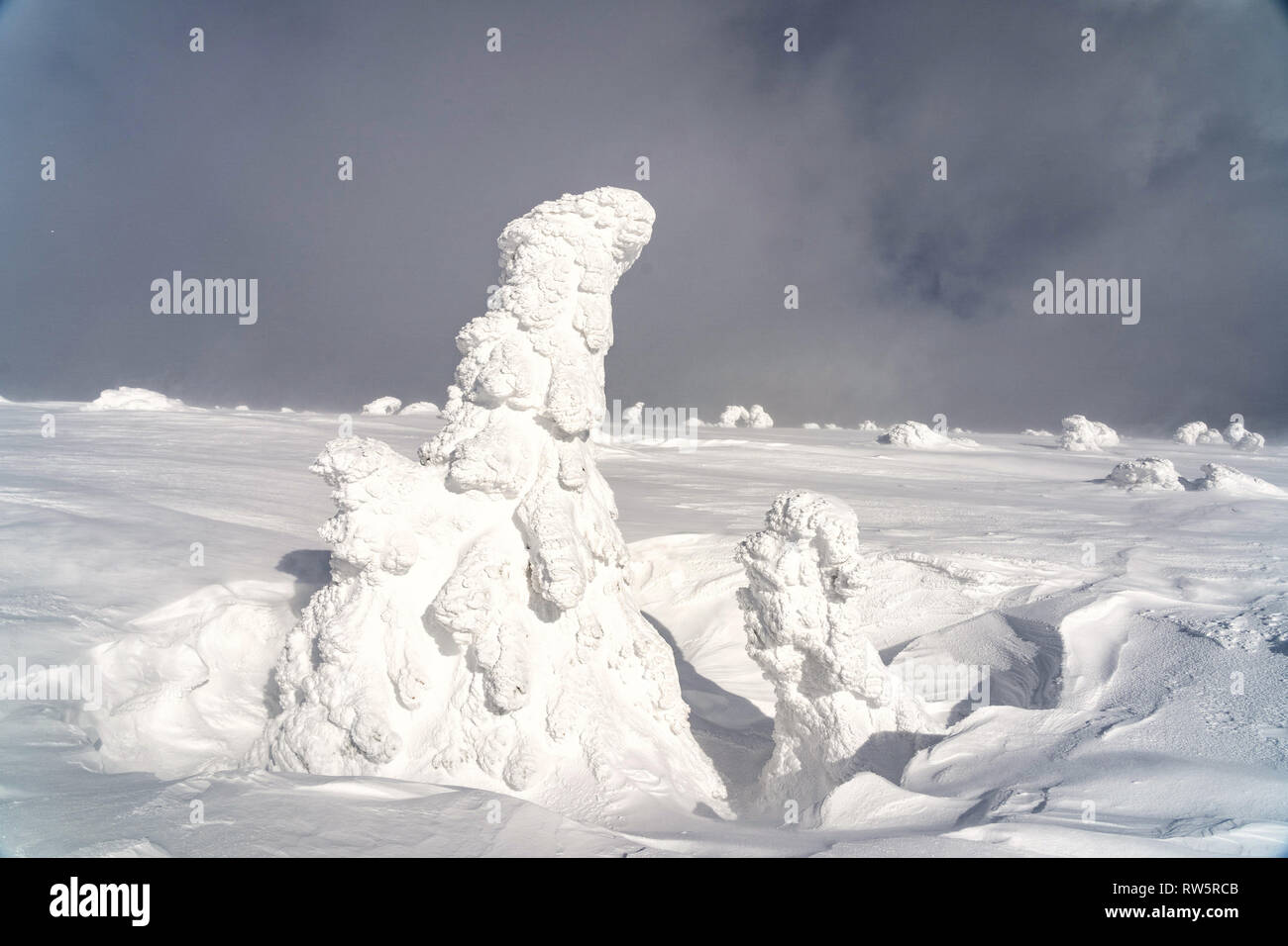 Dramatic snowscape hi-res stock photography and images - Alamy