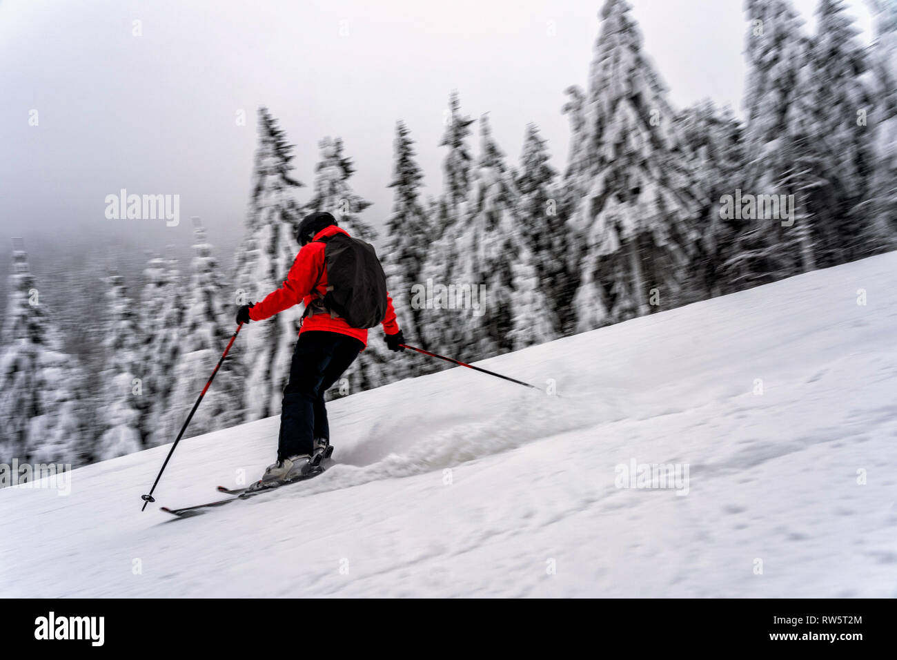 Female skier dressed in red jacket on ski slope. Stock Photo