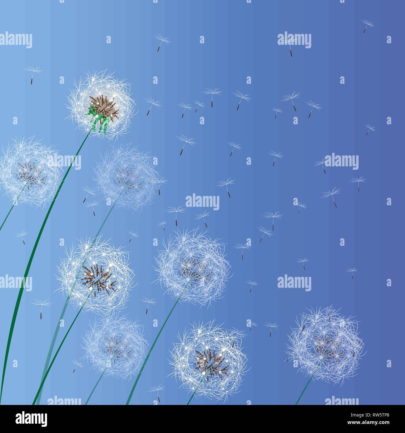 Vector illustration of spring background with white dandelions ...