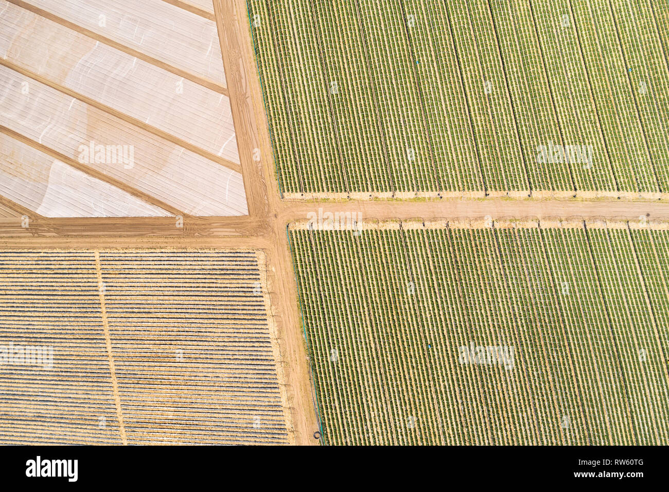 Aerial image showing fields covered in plastic sheets next to lines of