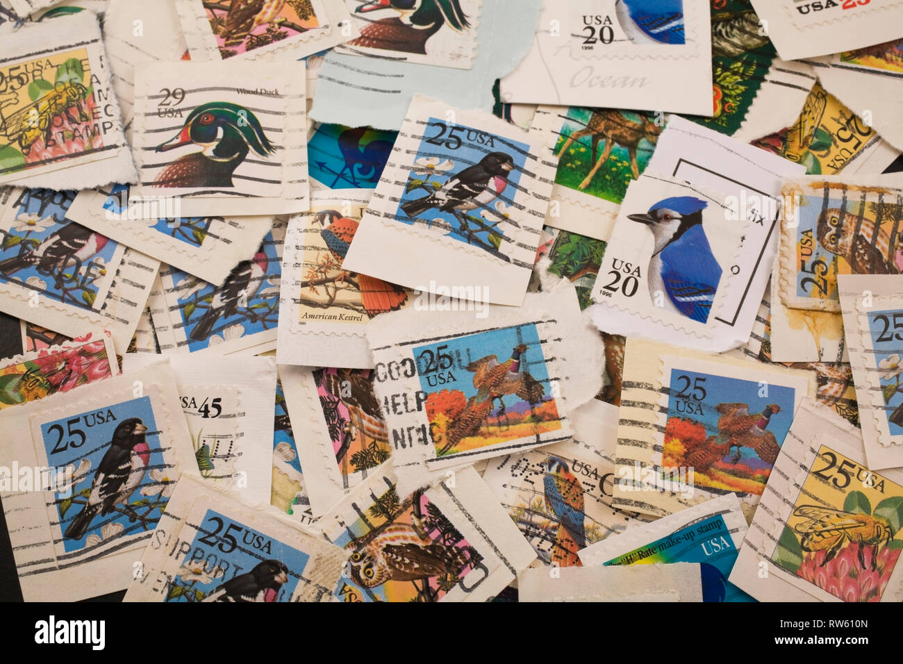 Close-up old United States postage stamps commemorating various birds and bees Stock Photo