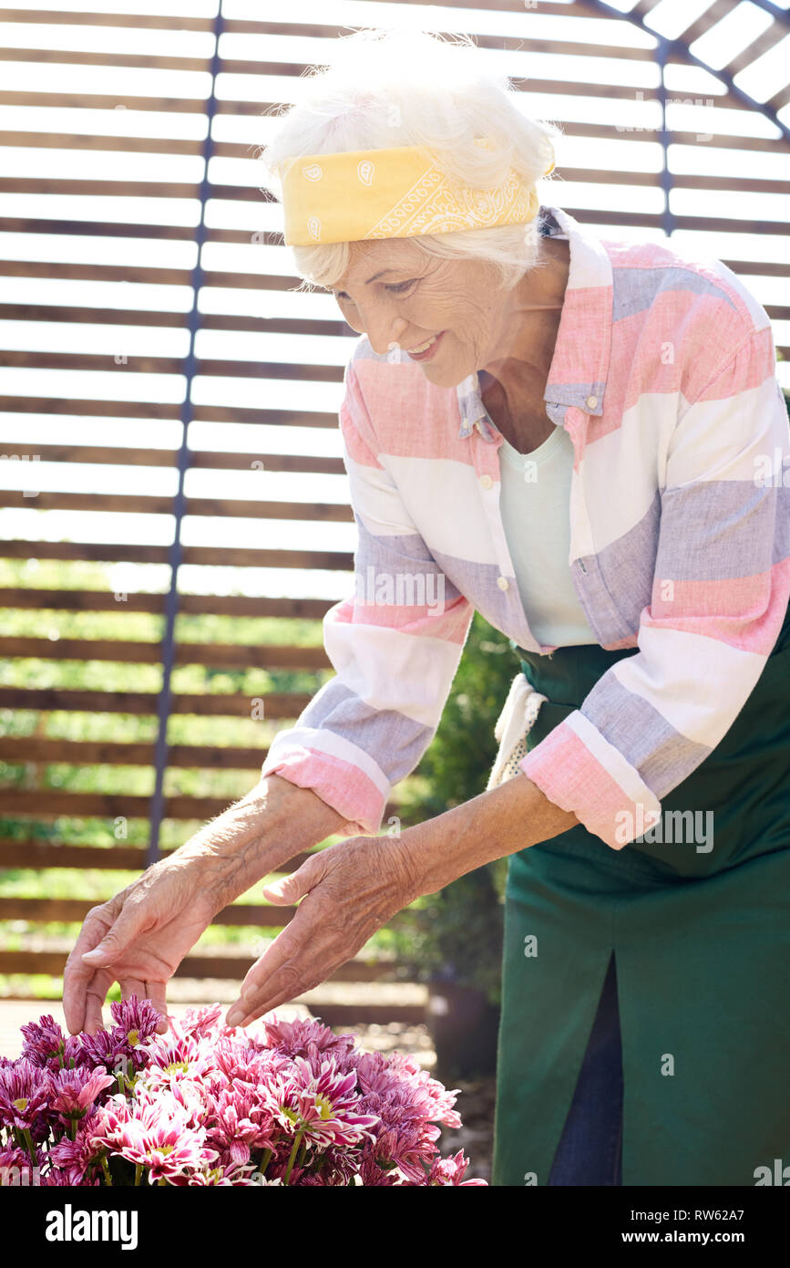 Senior Woman Caring for Flowers Stock Photo