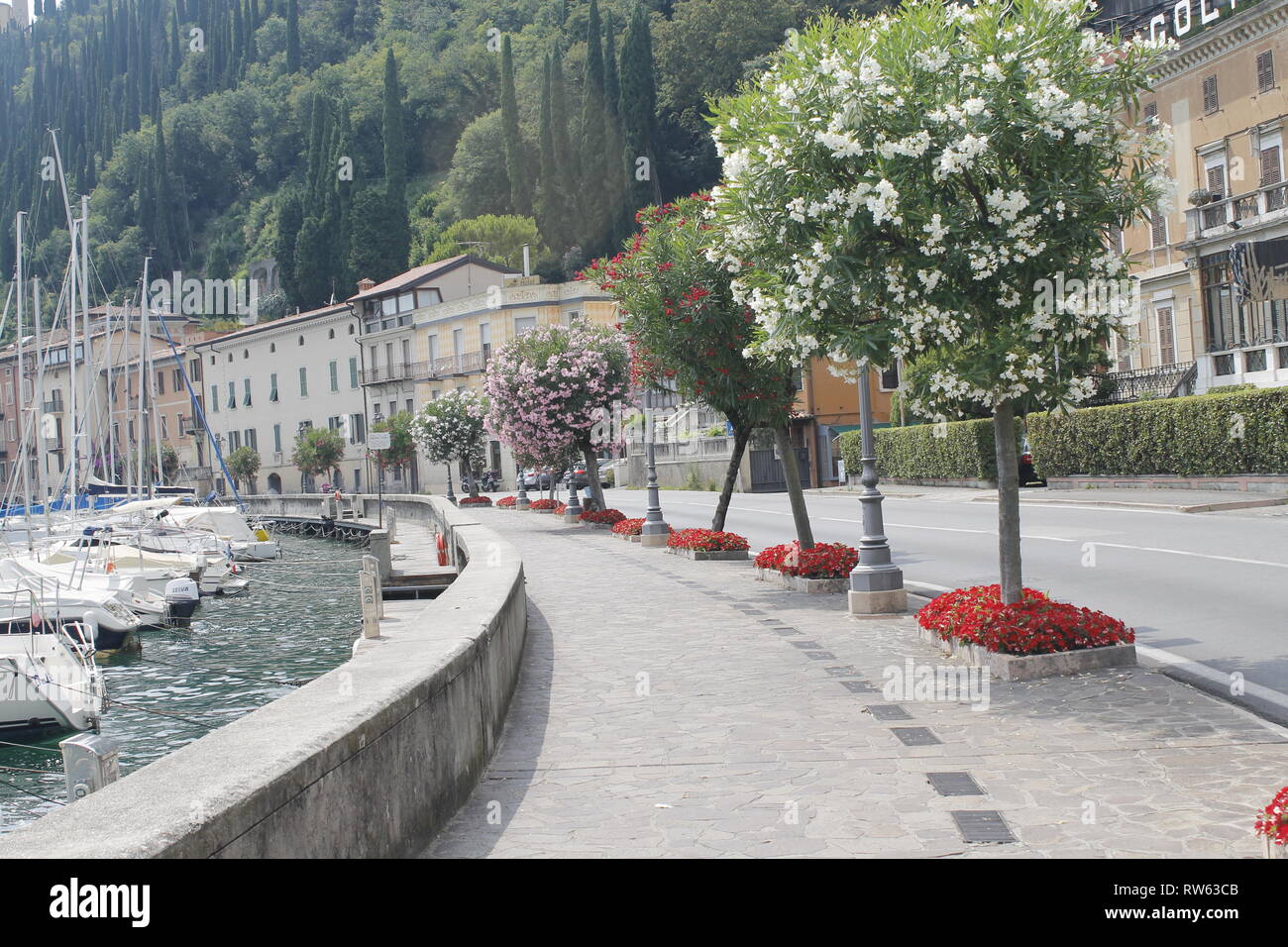 Amazing paved promenade with colorful mediterranean flowers  in the stunning harbor of Toscolano-Maderno, lake Garda, Lombardy region, Italy, Europe Stock Photo