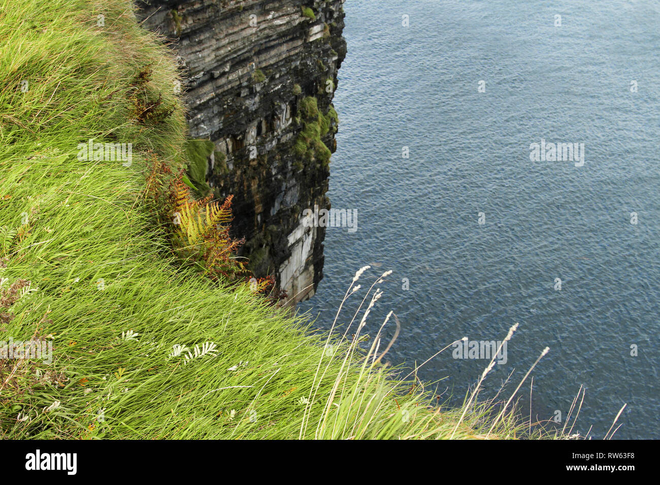View looking over a steep cliffs edge to the ocean below. Long green grass verge at the top of a high cliff. Stock Photo