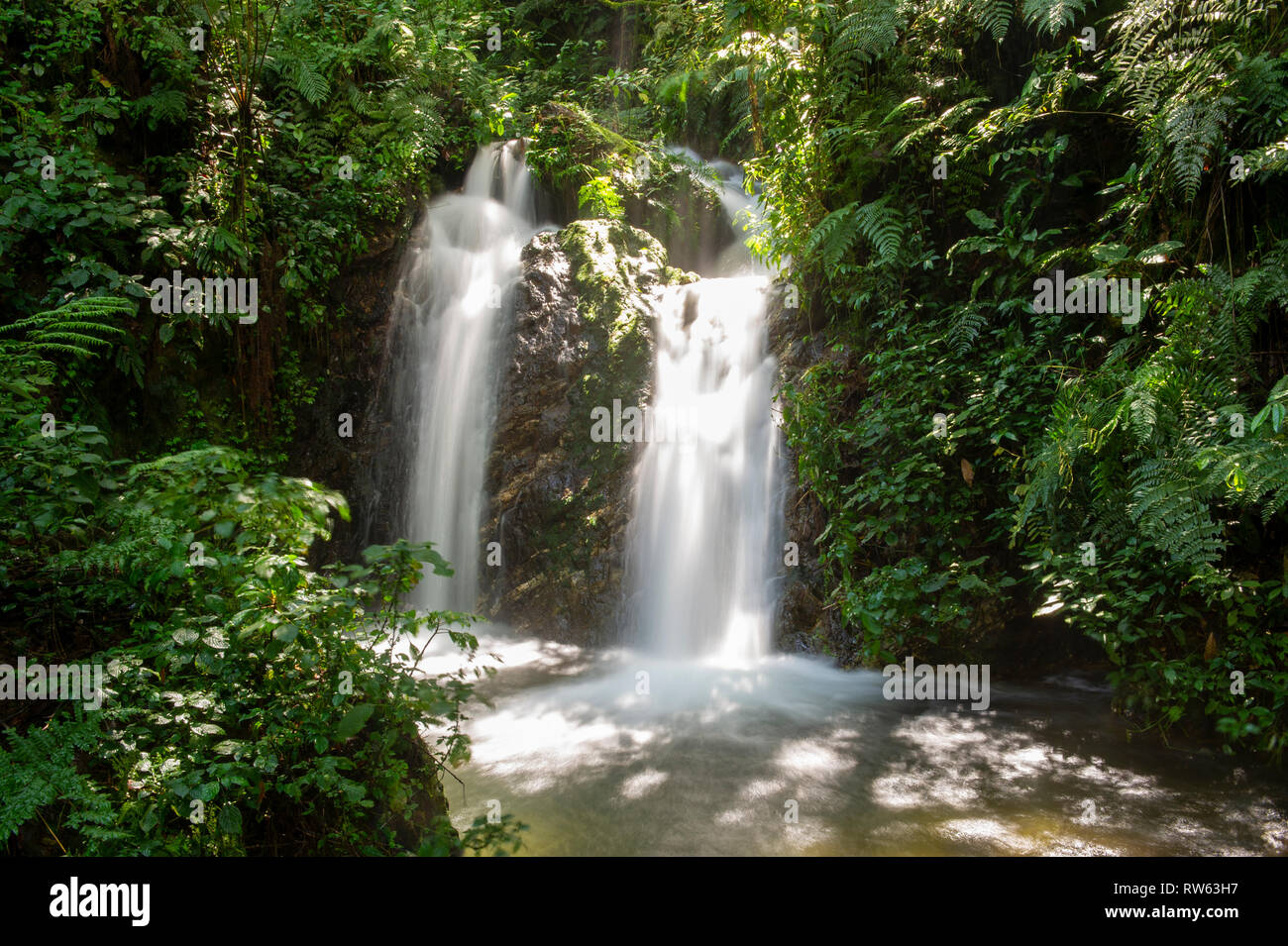 Waterfall, Bwindi Impenetrable National Park, Uganda Stock Photo
