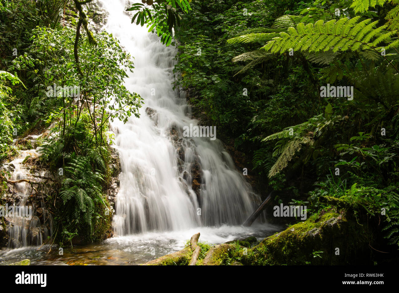 Waterfall, Bwindi Impenetrable National Park, Uganda Stock Photo