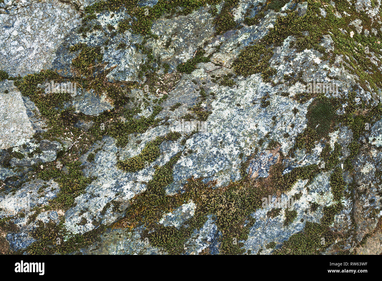 Abstract Of Stone And Moss Textures Stock Photo Alamy