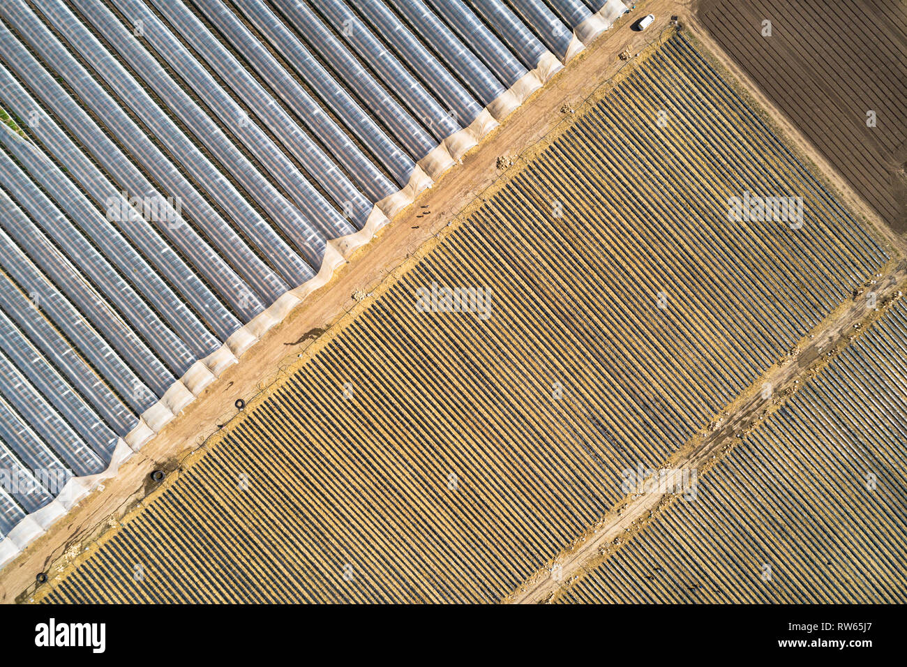 Aerial image showing poly tunnels used for growing soft fruit near Perth, Perthshire, Scotland. Stock Photo