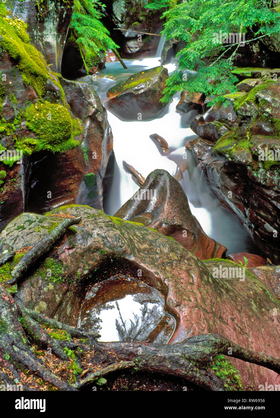 glacier-creek-hi-res-stock-photography-and-images-alamy