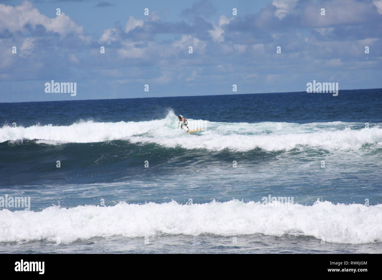 Surfer in Barbados Stock Photo Alamy