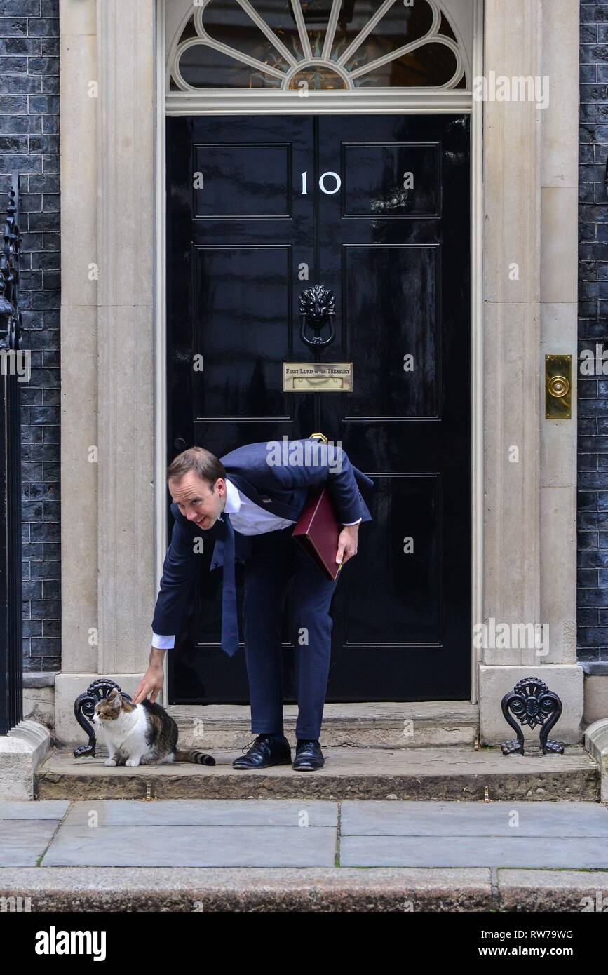 London, UK. 5th Mar, 2019. Larry, Chief Mouser to the Office