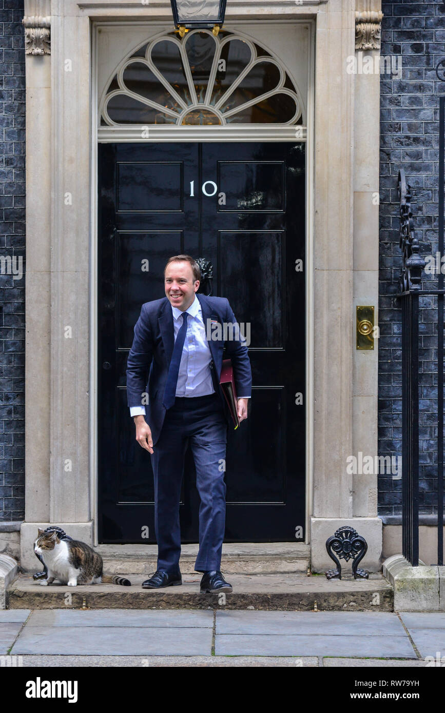 London, UK. 5th Mar, 2019. Larry, Chief Mouser to the Office