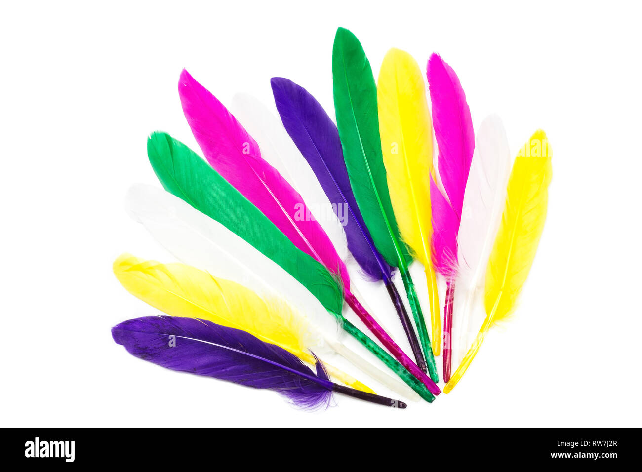 Colorful feathers isolated on white background Stock Photo