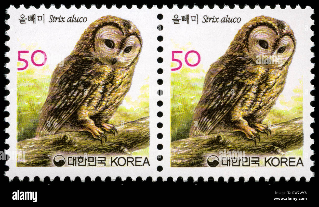 Two postage stamps from South Korea in the Strix aluco series issued in 2005 Stock Photo