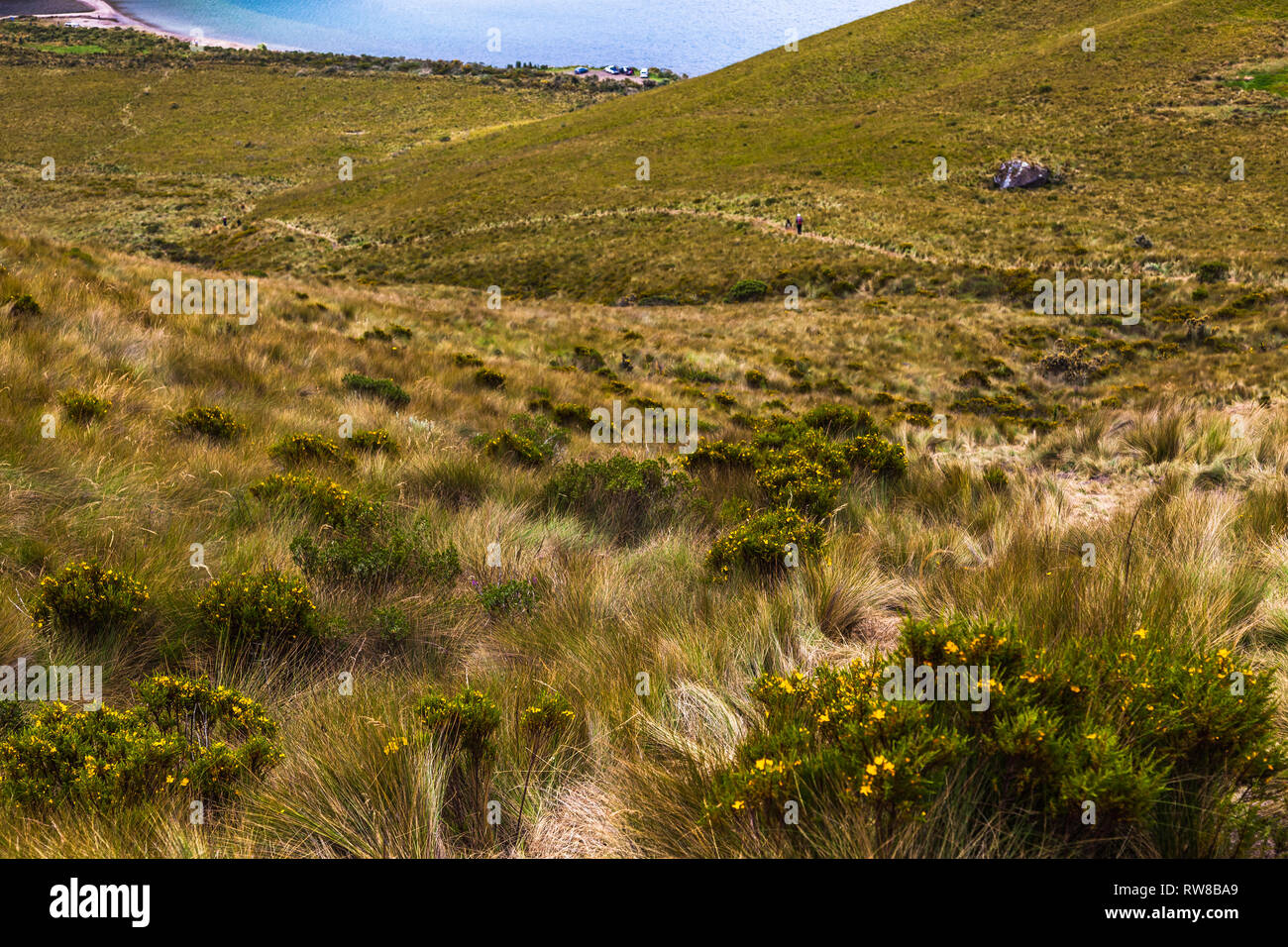Andean landscape, lagoons of Mojanda and their paramos Stock Photo