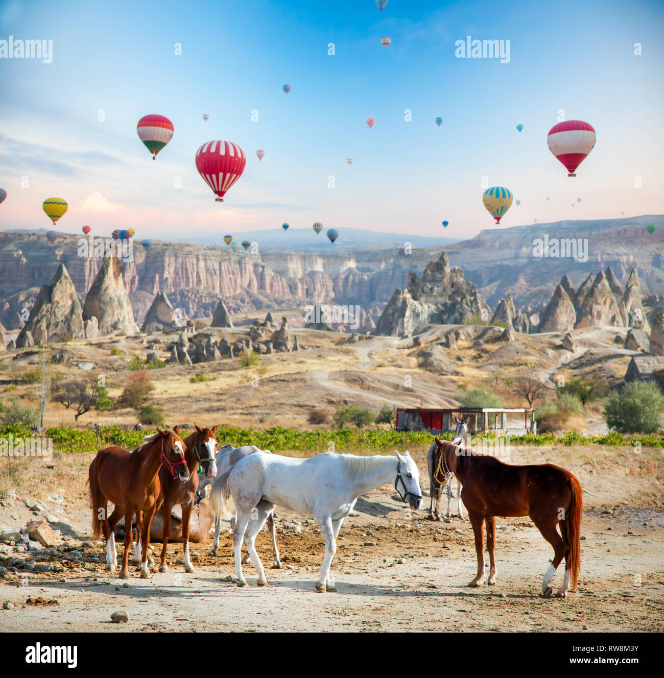 Hot air ballooning horses in Cappadocia, Turkey Stock Photo