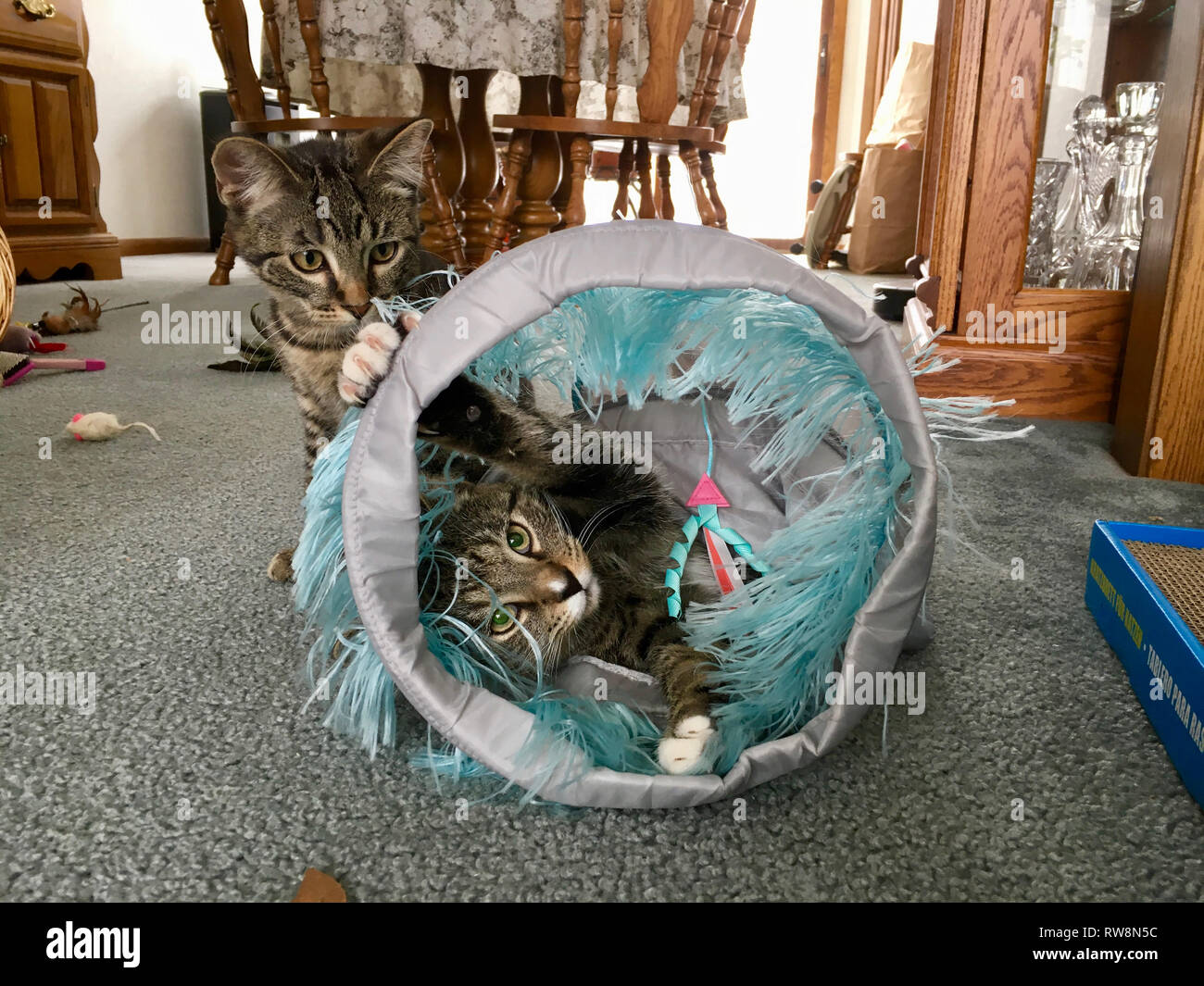 grey play tunnel