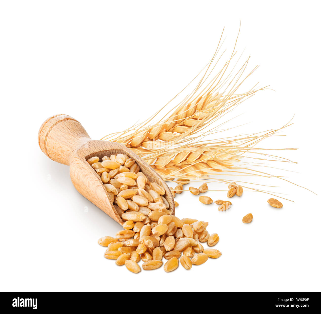 Wheat grains and ears isolated on white Stock Photo