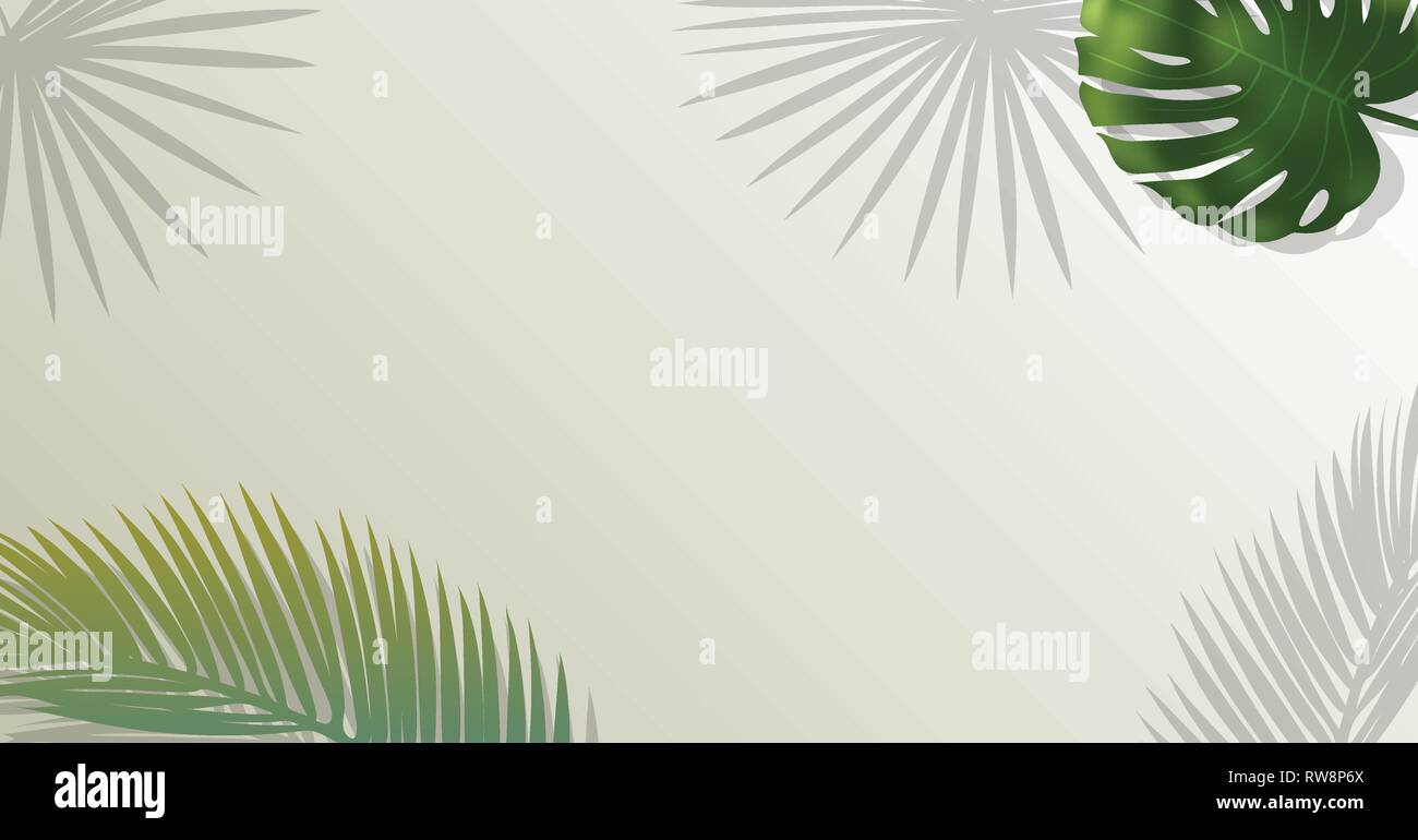 Realistic green palm leaf branches on white background. Stock Vector