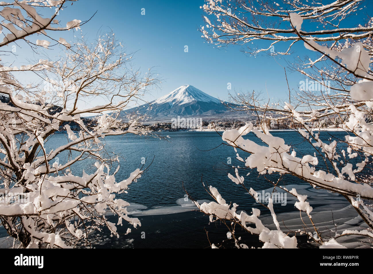 Mountain Fuji Stock Photo