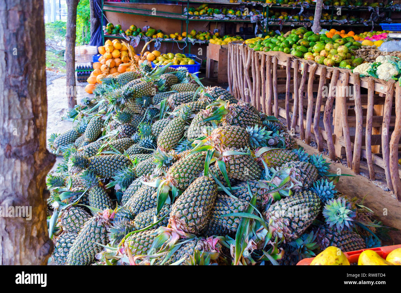 Fruits Sri Lanka High Resolution Stock Photography and Images Alamy