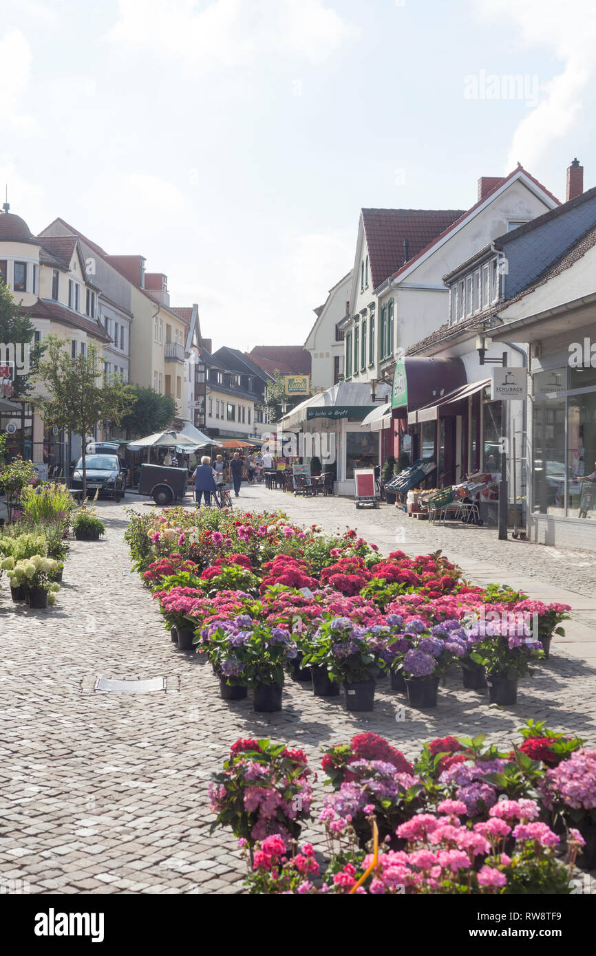 Blumenmarkt hires stock photography and images Alamy