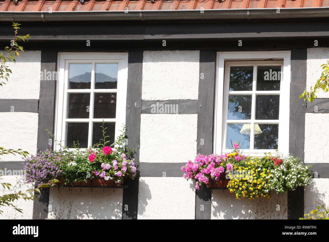 Blumenkasten Blumen High Resolution Stock Photography and Images - Alamy