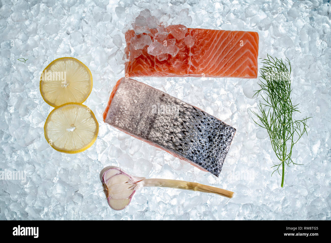 salmon on ice  as a background Stock Photo