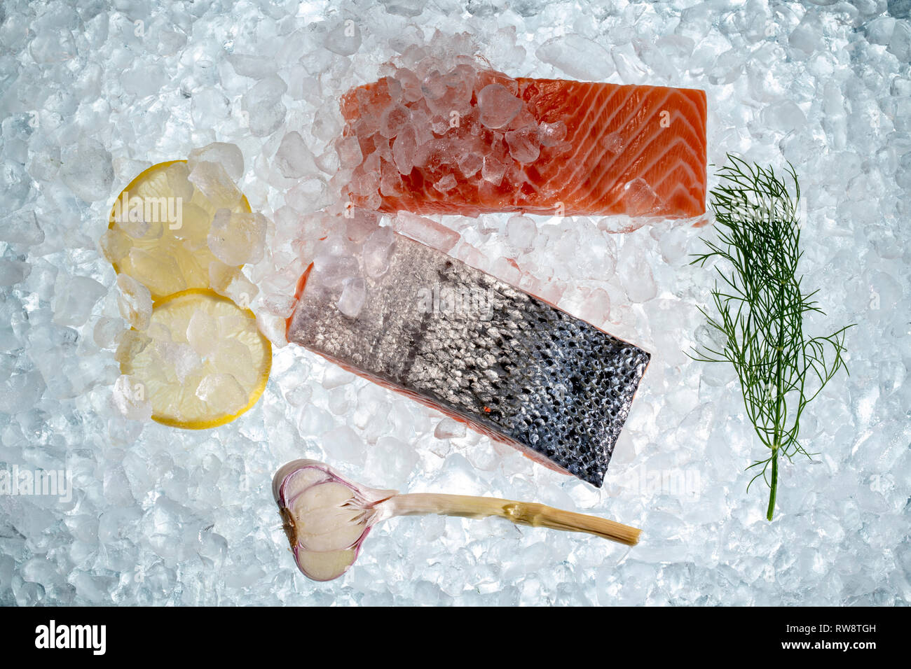salmon on ice  as a background Stock Photo