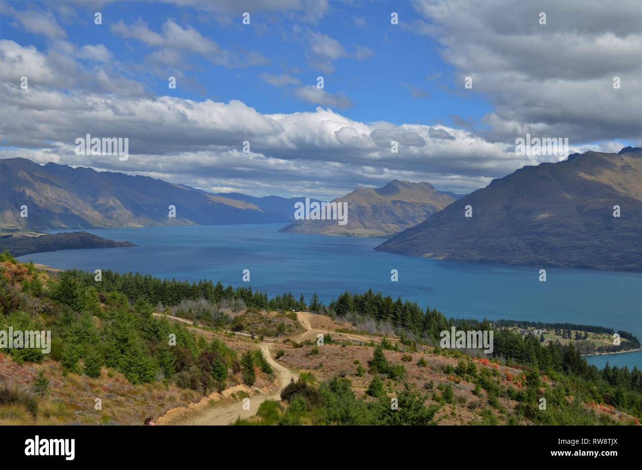 Queenstown Hill summit walkway with view on Lake Waktipu, Otago, New Zealand Stock Photo