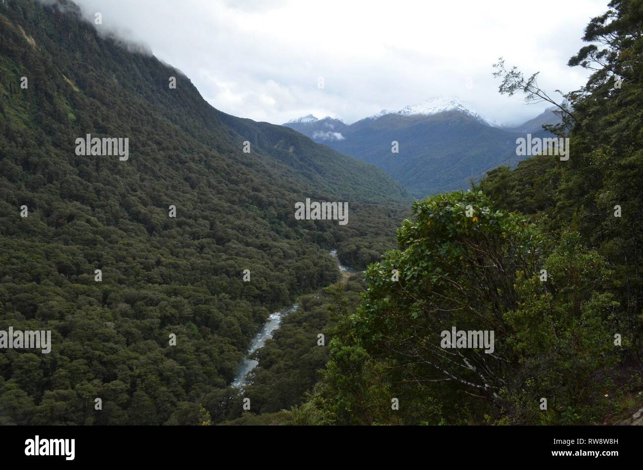 magnifiscent nature scenery in New Zealand Stock Photo