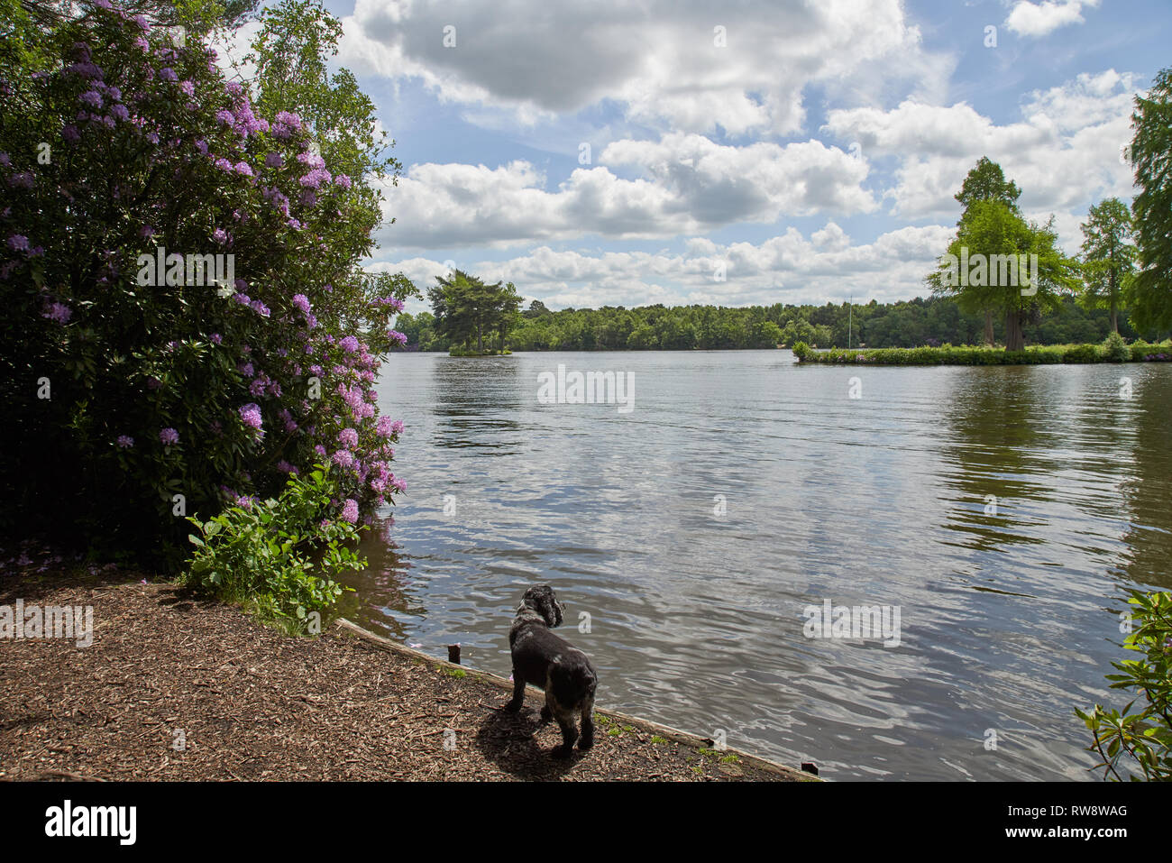 Blackwater and hawley hires stock photography and images Alamy