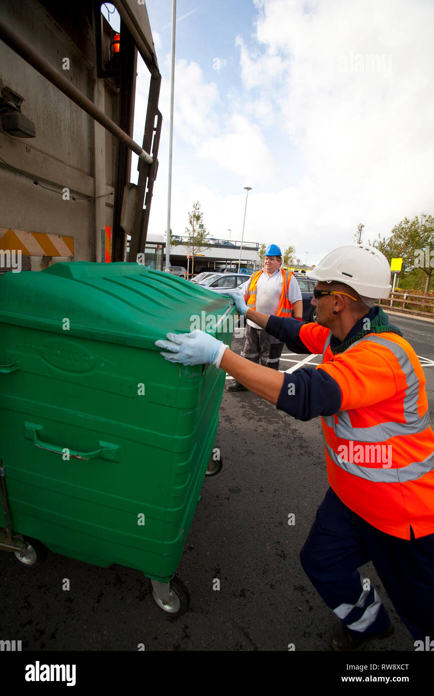 waste, rubbish, recycle, garbage, plant, collection, green, bin, wood