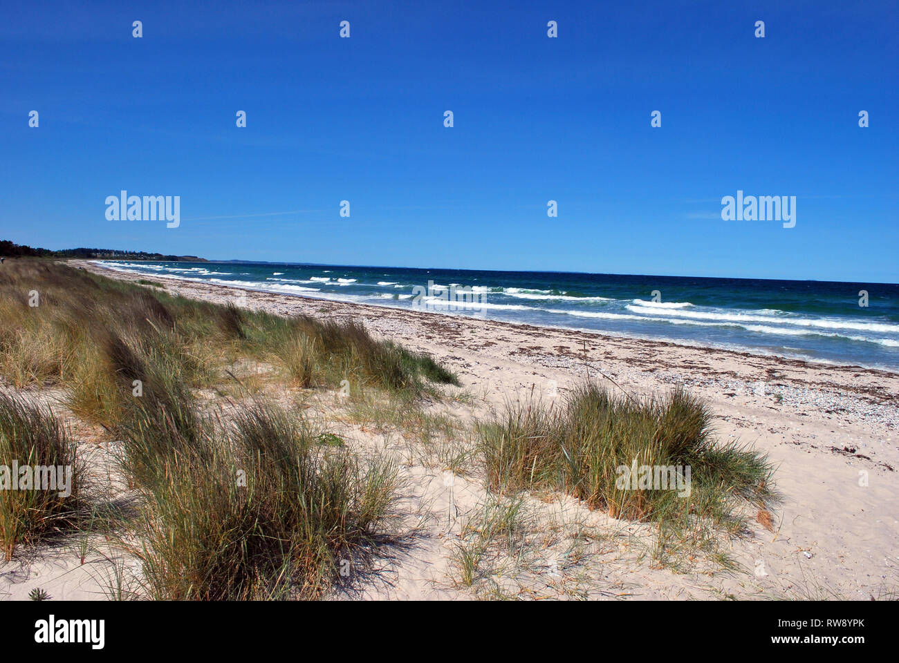 sandy beach, Samsoe island, Jutland, Denmark, Scandinavia, Europe Stock ...