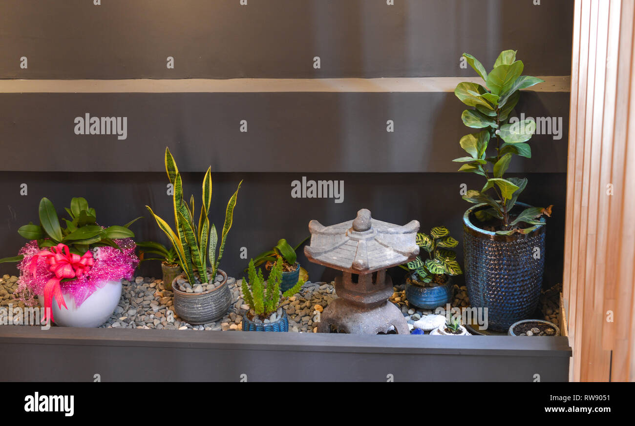 Indoor Plants In A Modern Cozy Interior Concept For